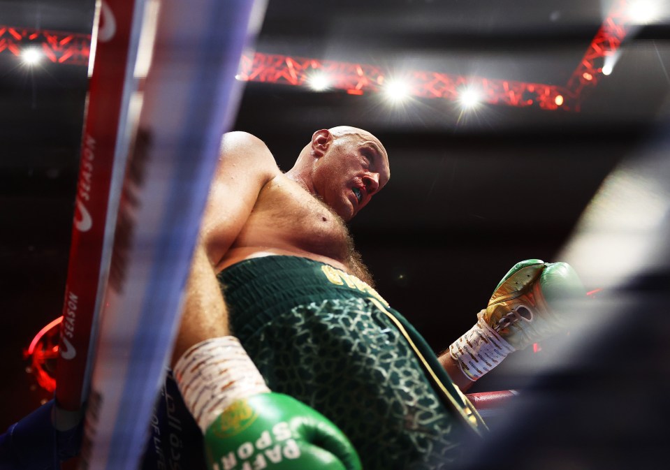 Fury, who held the WBC strap, was wobbled late on and it was only the ropes that kept him on his feet