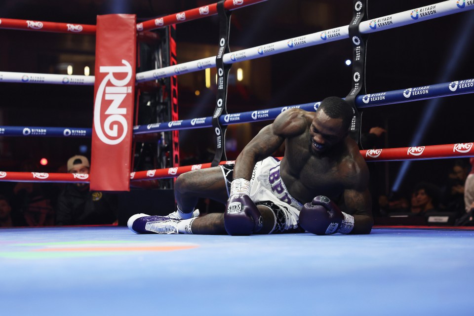 Davis managed to bravely climb to his feet after the thunderous second round blow